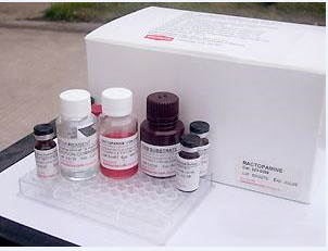 牛巨噬細胞炎性蛋白1β(MIP1β)ELISA檢測試劑盒主圖