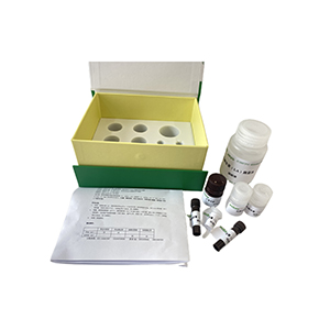 天冬酰胺酶(ASNase/asparaginase)活性測(cè)定試劑盒分光法/48樣主圖