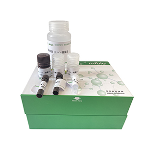 精氨酸脫羧酶(ADC)活性檢測(cè)試劑盒微板法/48樣主圖