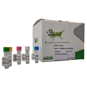 豇豆輕斑病毒探針法qRT-PCR試劑盒（不含內參）主圖