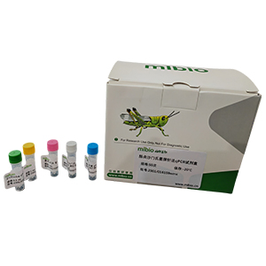 柯薩奇病毒A19型變種探針法qRT-PCR試劑盒(不含內參)主圖