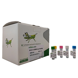 酵母菌通用探針法LAMP試劑盒(不含內參)主圖
