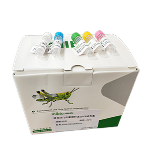馬鈴薯源性成分探針法qPCR試劑盒(不含內(nèi)參)主圖